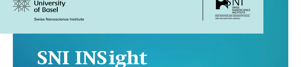 SNI Insight Logo